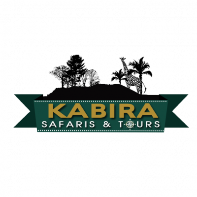 The Bespoke African Safari Co.