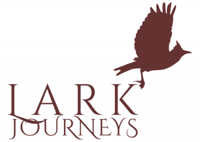 Lark Journeys