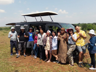 Papio Africa Holiday