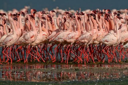 Arusha Trips 5
