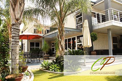 Cycad Palm Guesthouse