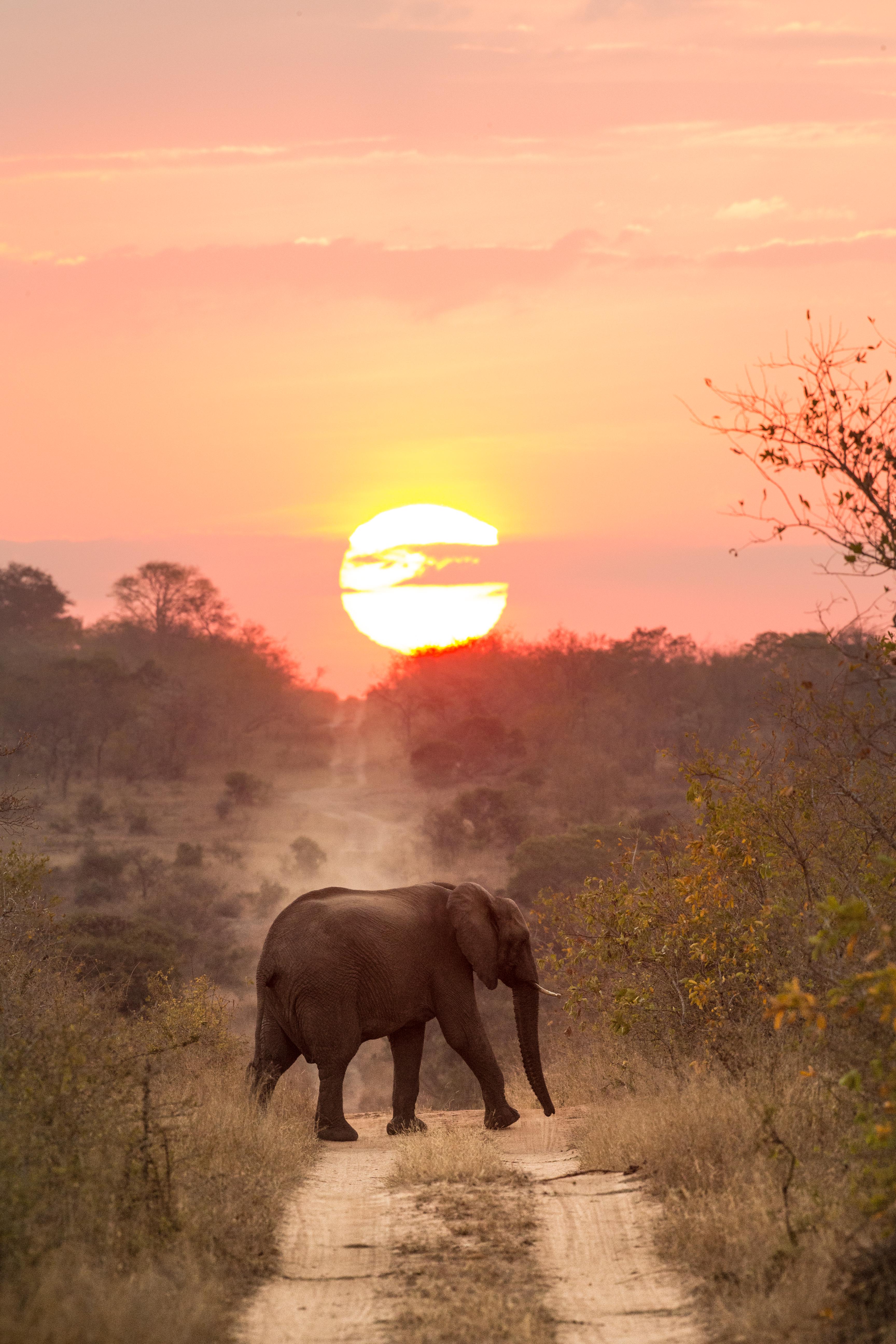 Makanyi Private Game Lodge