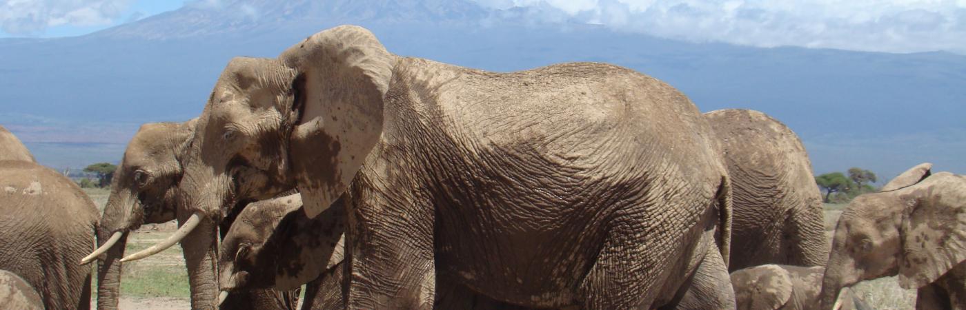 Lake Amboseli