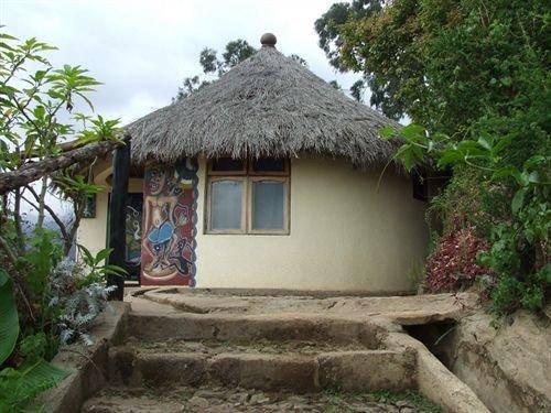 Mount Kilimanjaro View Lodge 4
