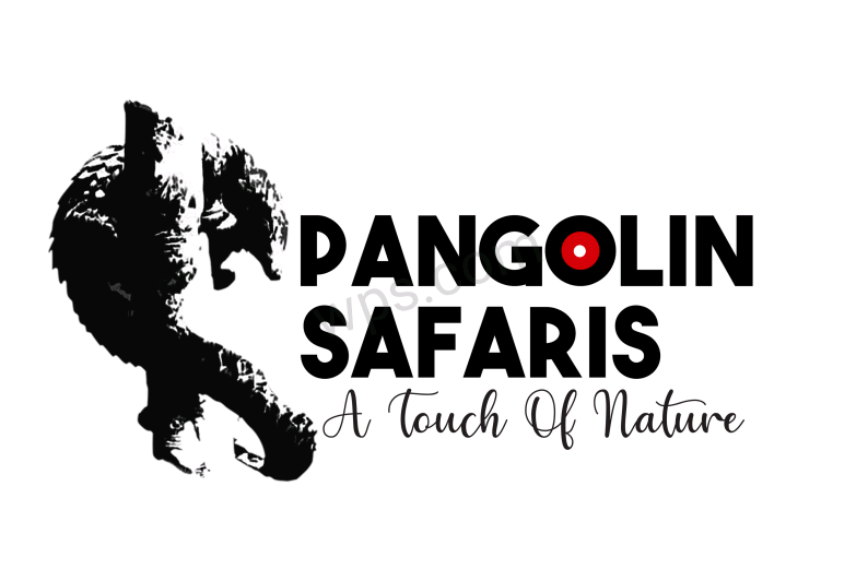 African Pangolin Safaris 2