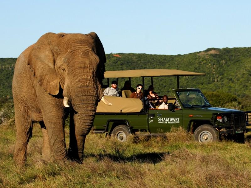 Shamwari Game Reserve