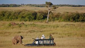 Tanzania Summer Volunteer & Safari Travel