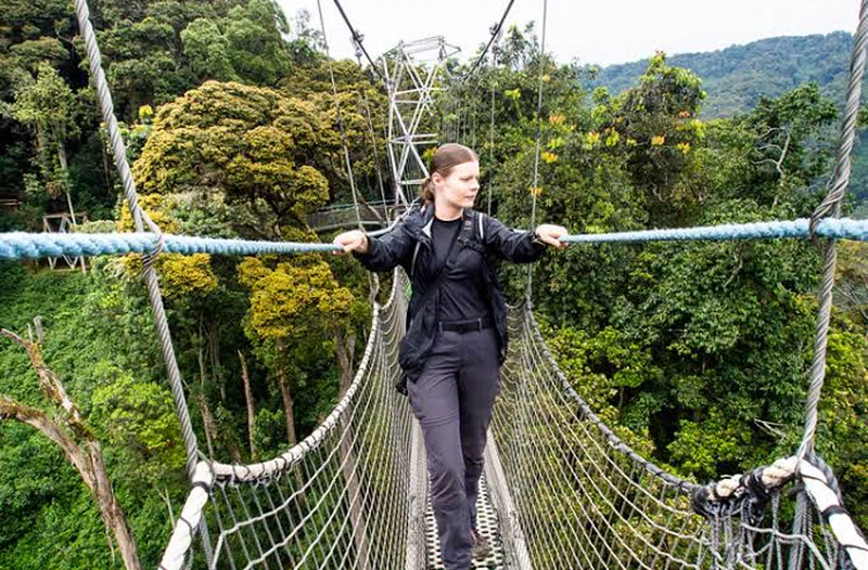Nyungwe Forest National Park 3