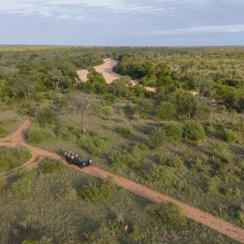 Timbavati Nature Reserve 2