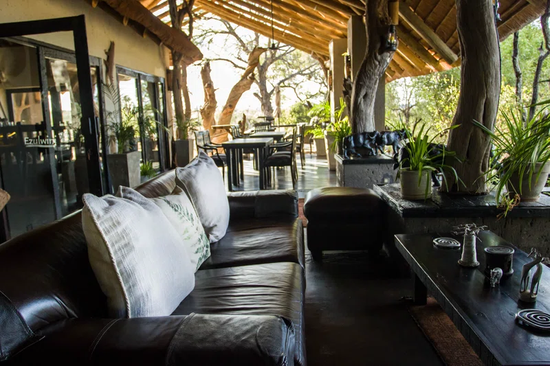 Karongwe Private Game Reserve 3