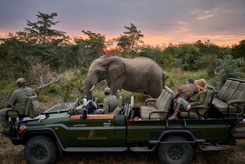 Karongwe Private Game Reserve 2