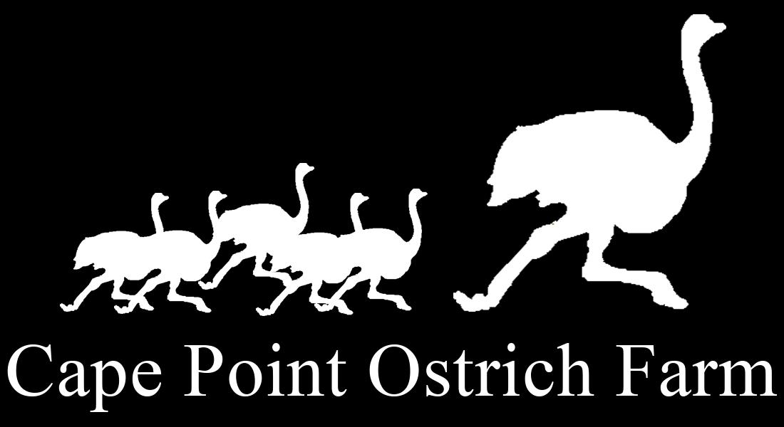 Cape Point Ostrich Farm