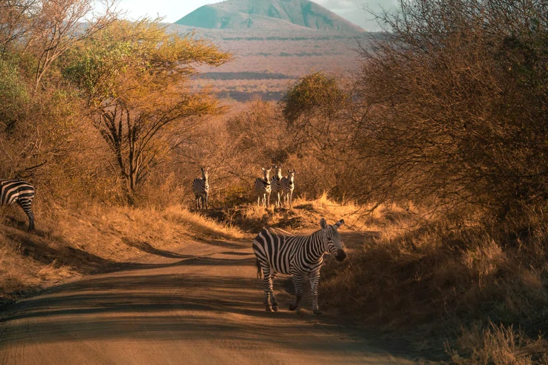 Tsavo West National Park 4