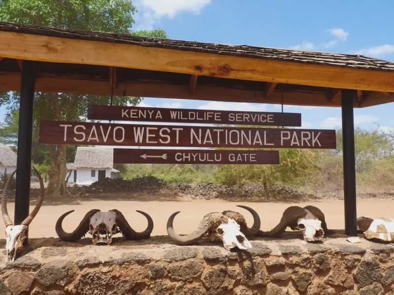 Tsavo West National Park 3