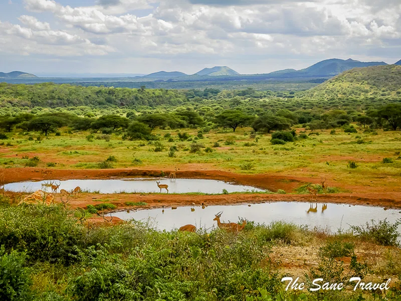 Tsavo West National Park 5