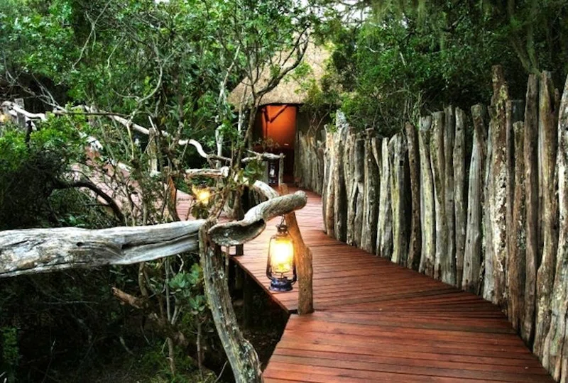 Lalibela Wildlife Reserve 3