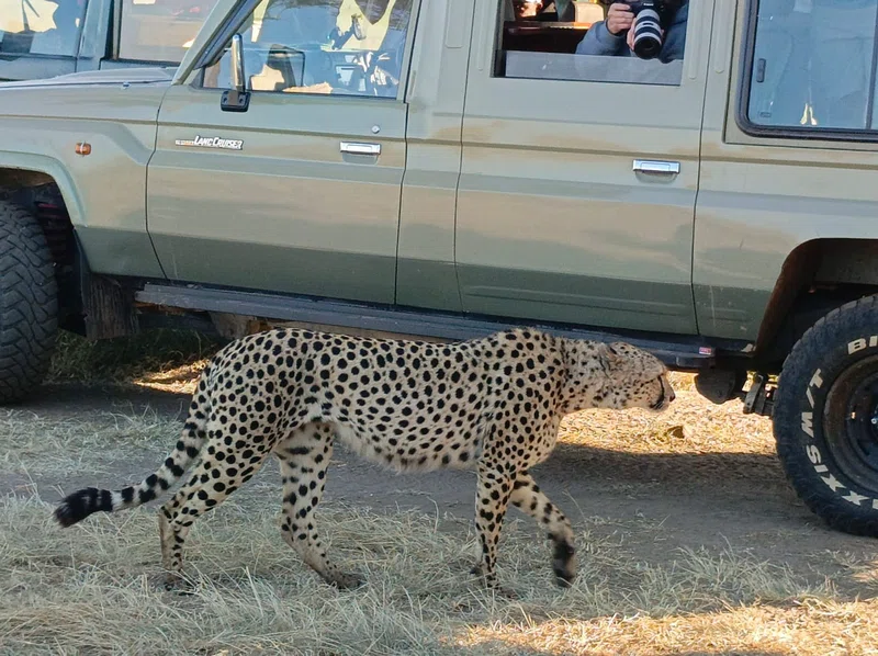 Across Horizon Safaris 1