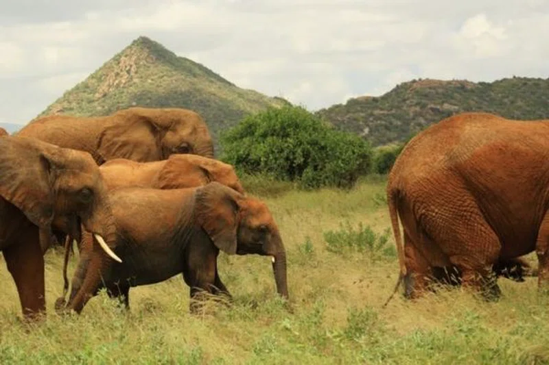 Across Horizon Safaris 2