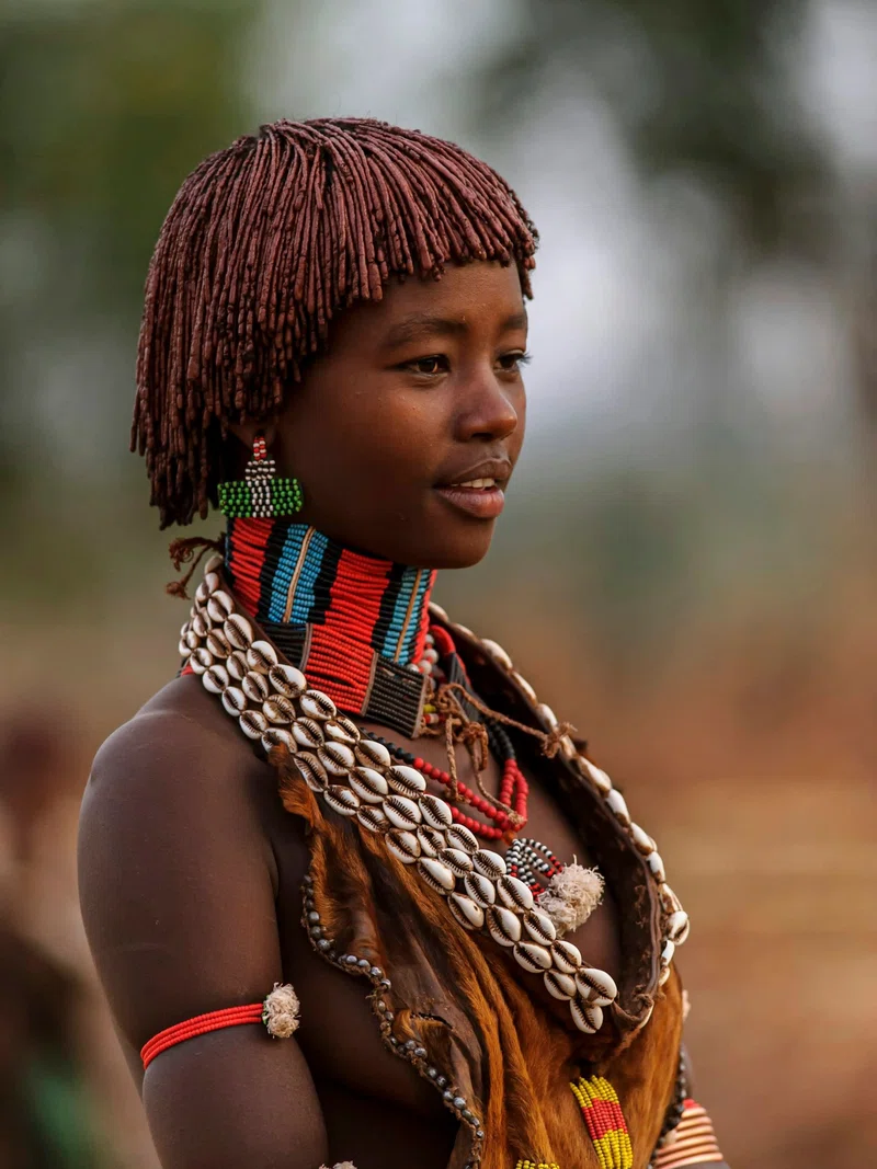 Travel Africa Tours 2