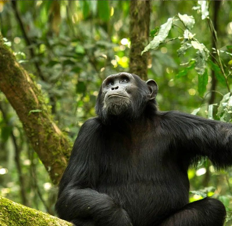 Zaqtu Safaris and Travelling 2