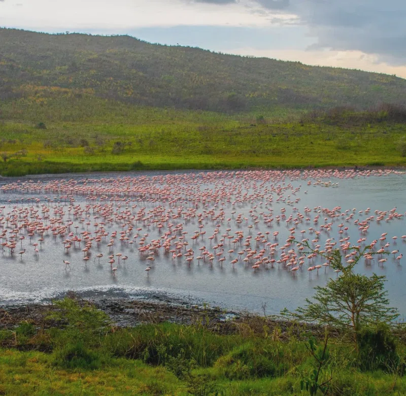 Zaqtu Safaris and Travelling 1