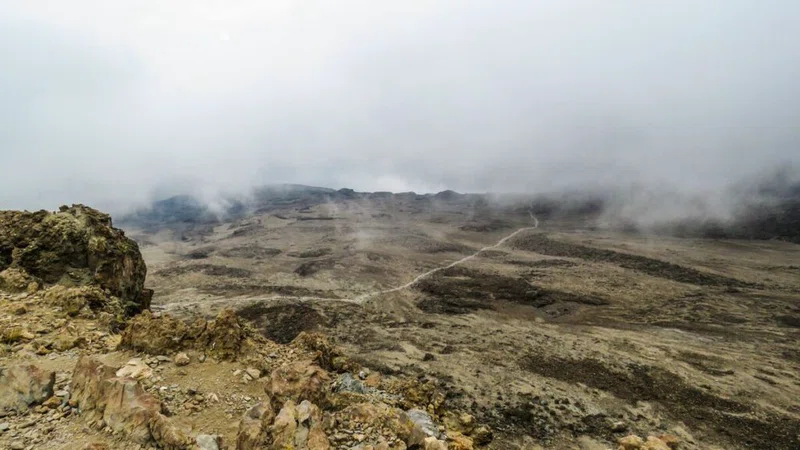 Njofu Expedition 4