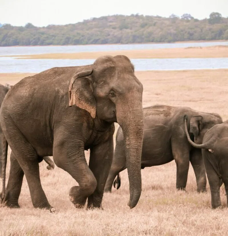 Kentau Safaris Ltd trading as Kentau Safaris 4
