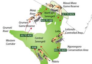 Serengeti Great Migration Safari