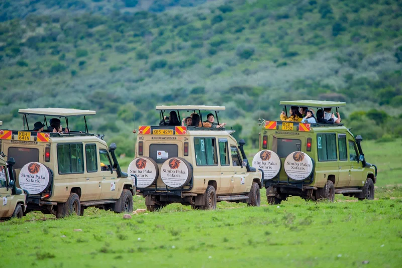 Nairobi Aviation trading as Simba Paka Safaris 3