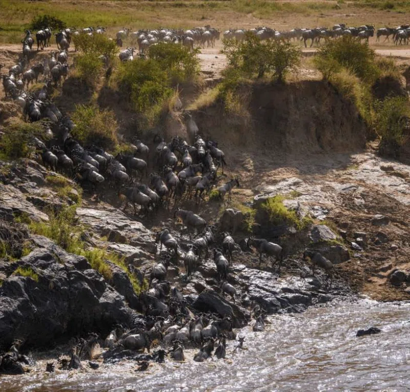 Betawild Safaris Ltd. trading as Betawild Safaris 4