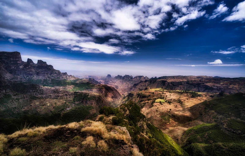 Ethio Wildlife Tours 1