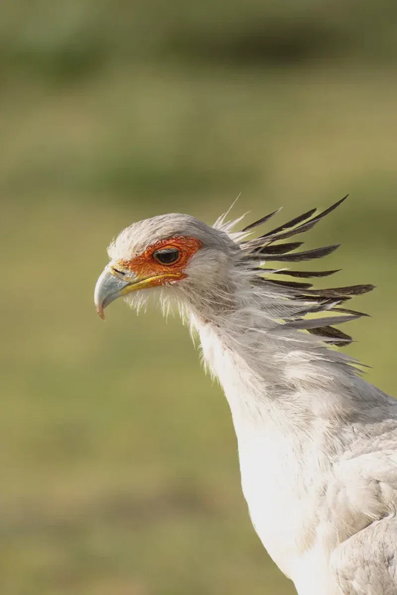 PAG Tours and Safaris Limited trading as PAG Tours and Safaris 2