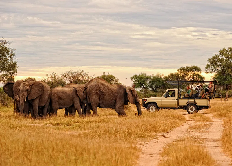Image Africa Safari Limited trading as Image Africa Safari 2