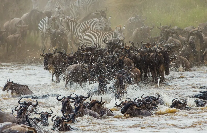 Adventure Masai Mara 3