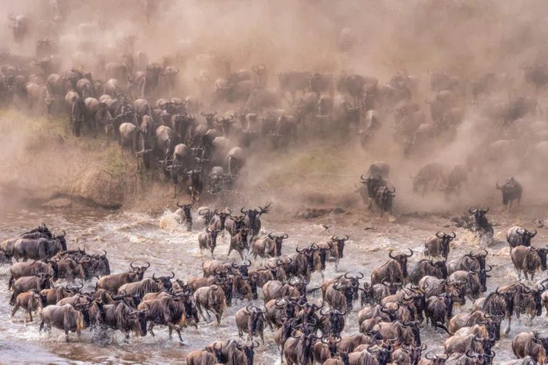 Joymark Tours and Safaris Limited trading as Joymark Tours & Safaris 3