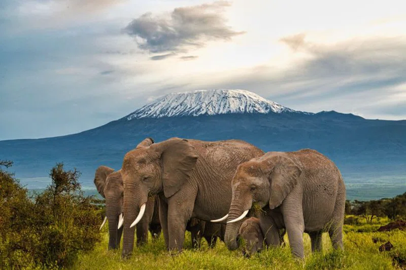 Joymark Tours and Safaris Limited trading as Joymark Tours & Safaris 4