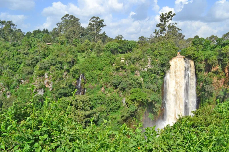 Thomson’s Falls