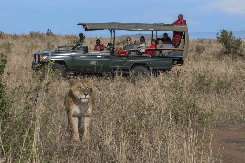 HORIZON WANDERLUST SAFARIS LIMITED trading as Horizon Wanderlust Safaris 5