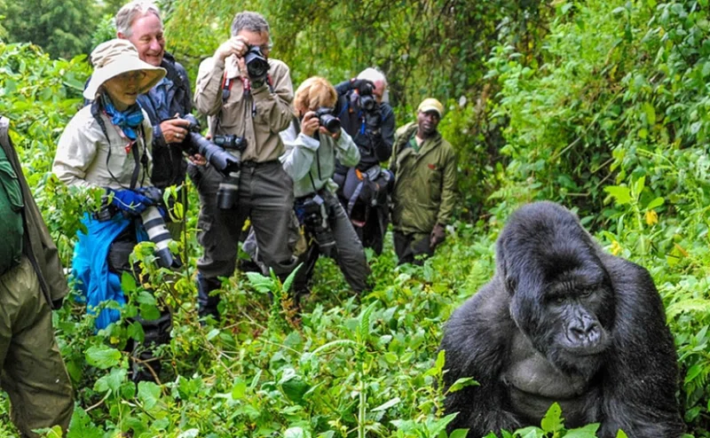 Phinok Safaris Africa Limited trading as Phinok Safaris Africa 2