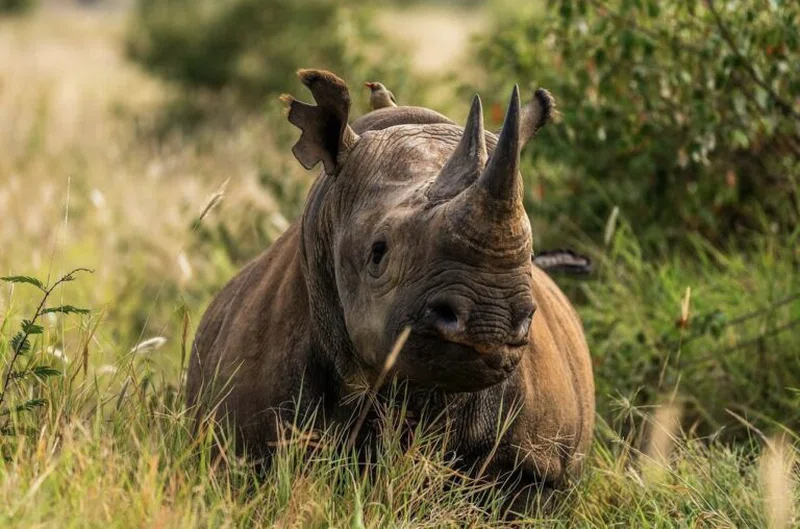 JENNY'S ADVENTURE SAFARIS LTD trading as Jenny's Adventure Safaris 5