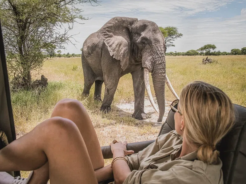 Visit Creation Safaris Limited trading as Visit Creation Safaris 1