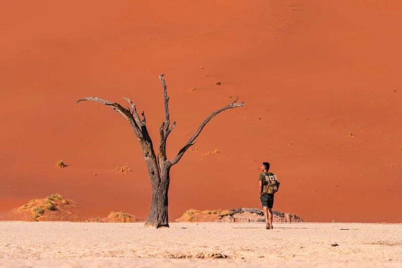 Sossusvlei 3