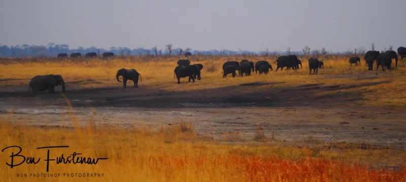 Khaudum National Park 2