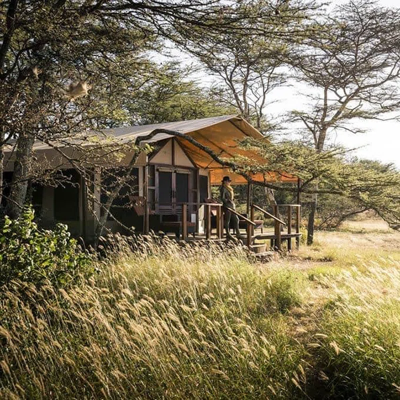 Ndutu Area, Southern Serengeti 3