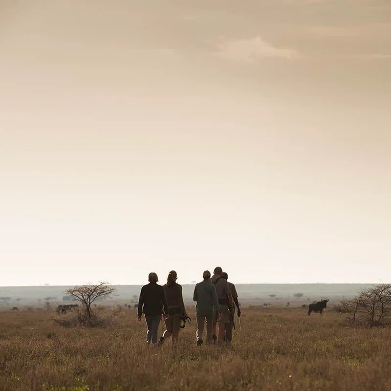 Ndutu Area, Southern Serengeti 2