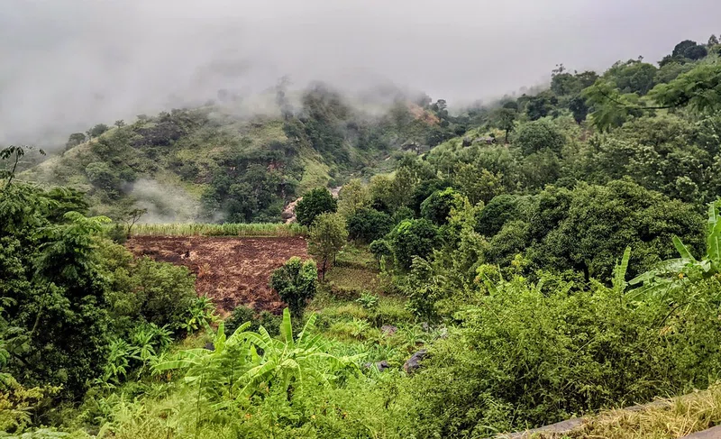 Magamba Nature Reserve 2