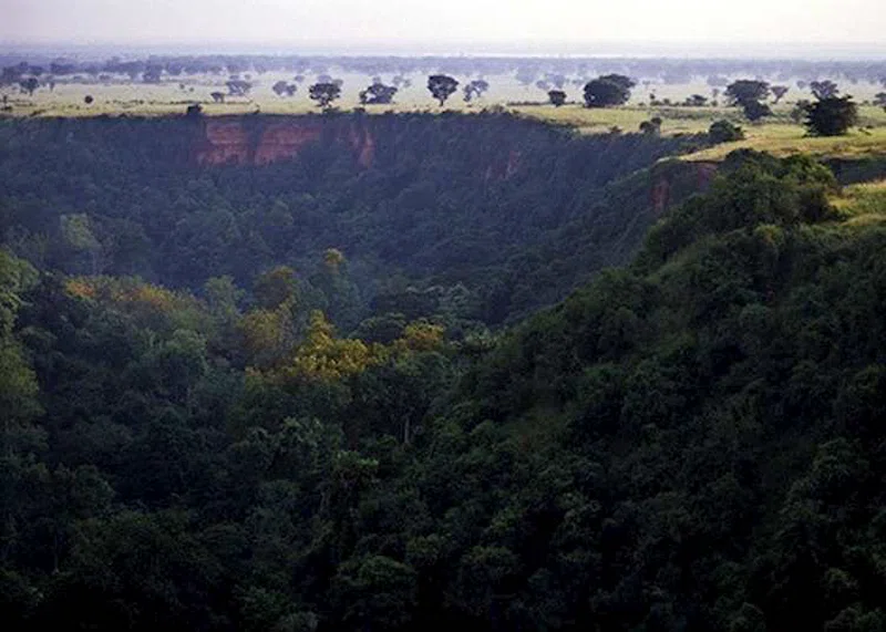 Kyambura Gorge, Queen Elizabeth National Park 4