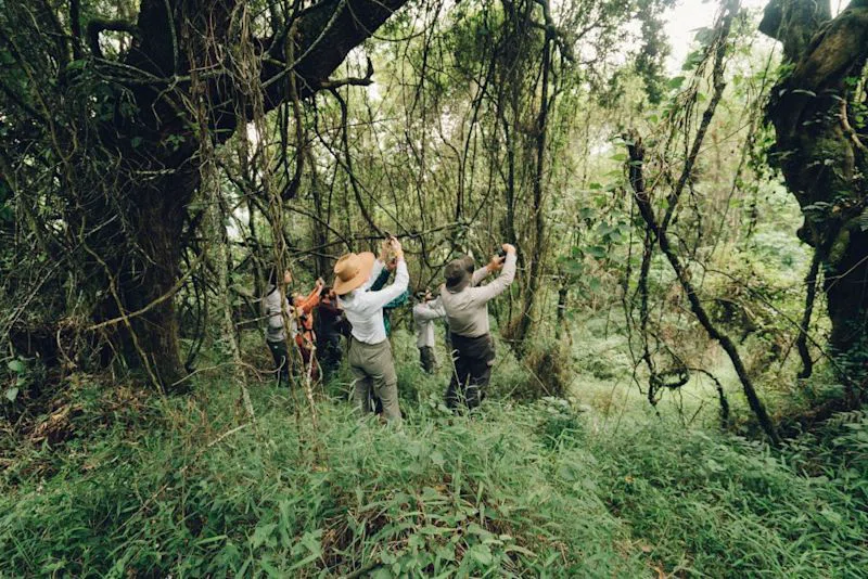 Bwindi Impenetrable National Park 3