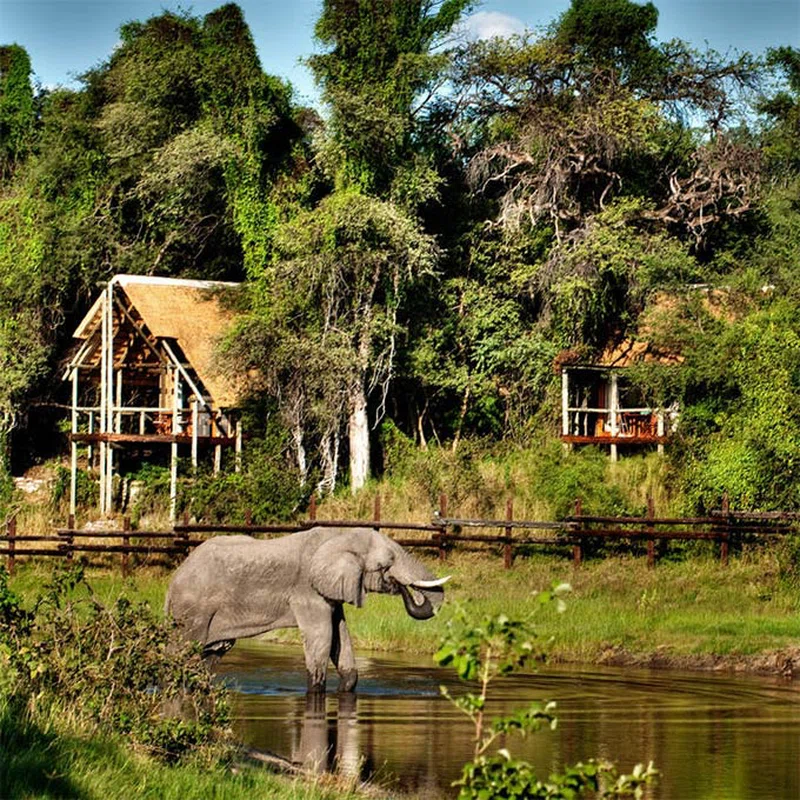 Savuti, Chobe National Park 4