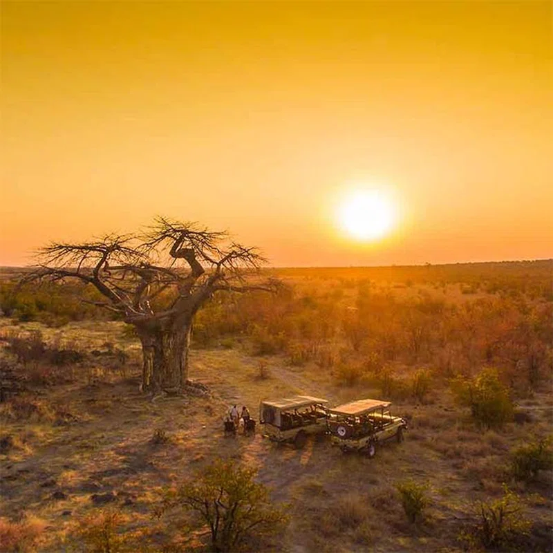 Savuti, Chobe National Park 5